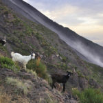 Climbing Stromboli